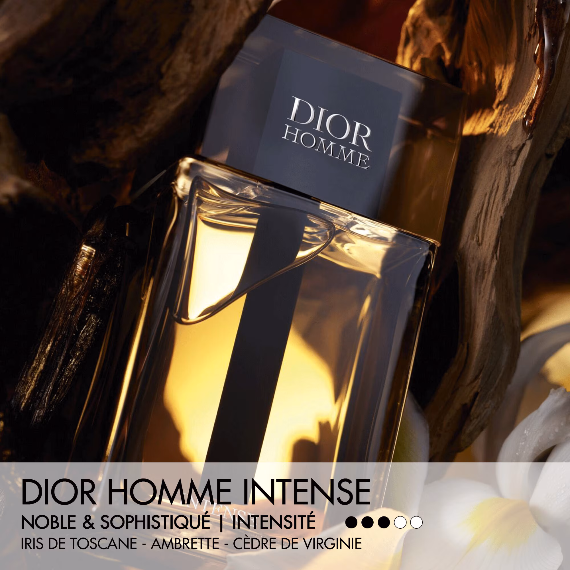 DIOR HOMME INTENSEEau de parfum