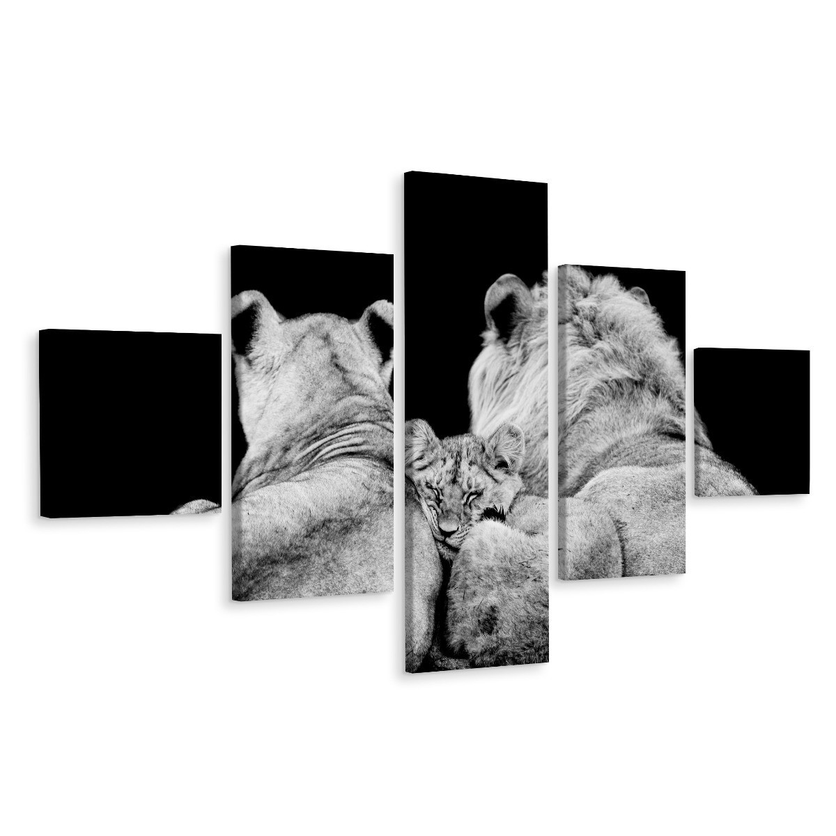 Obraz Wieloczęściowy LWY Zwierzęta Natura 3D 150x90cm