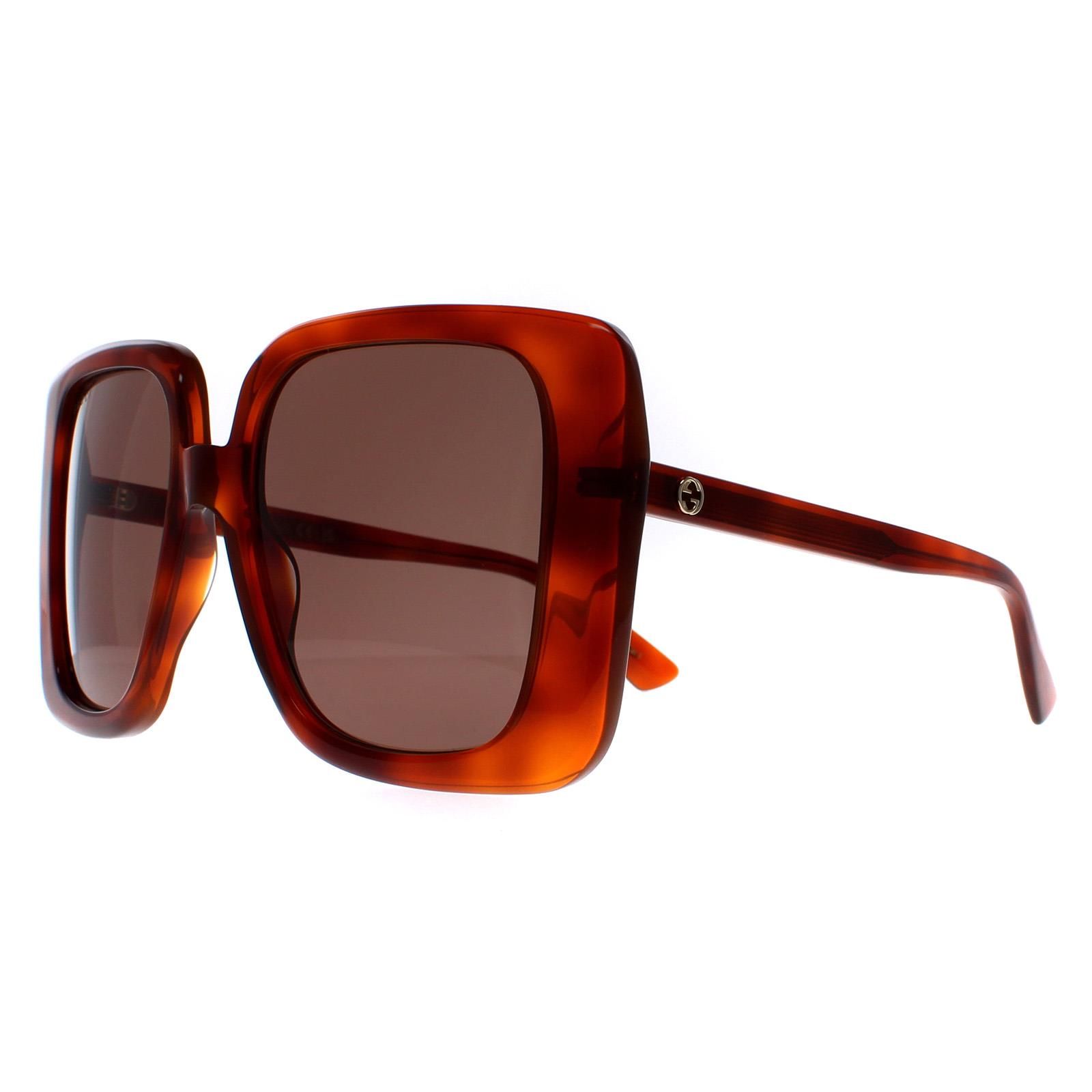 Gucci Square Havana Brown GG1314S