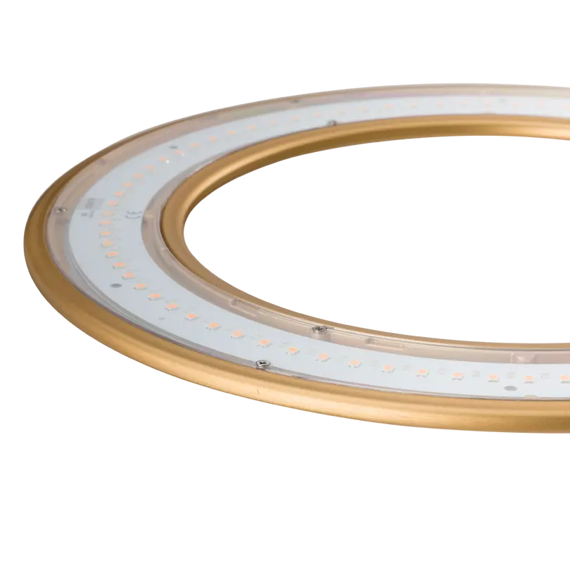 Hängeleuchte Hula Hoop