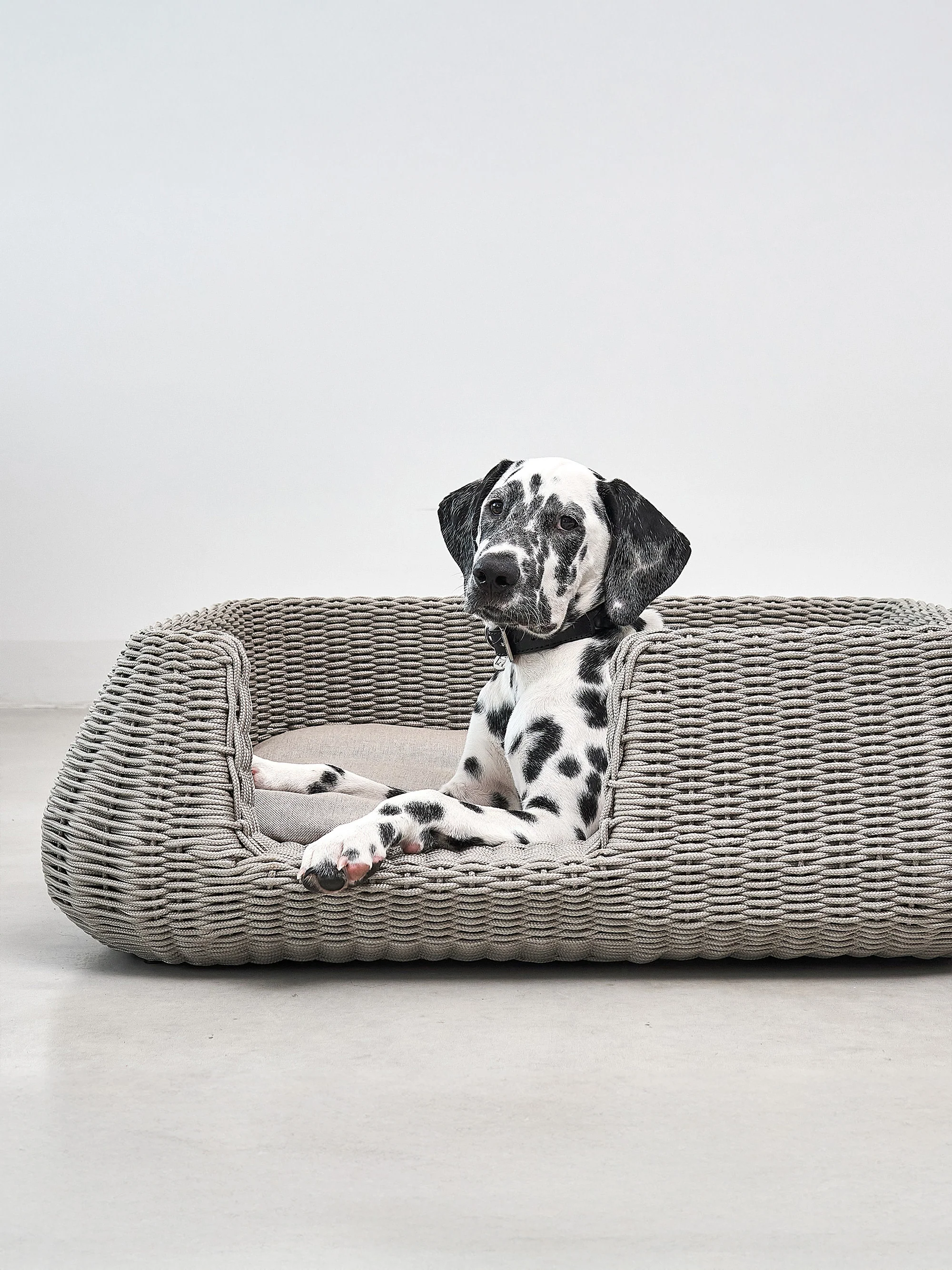In- & Outdoor-Hundebett Mio