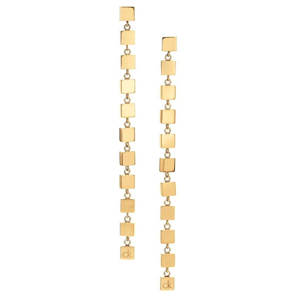 Calvin Klein Geometric earrings