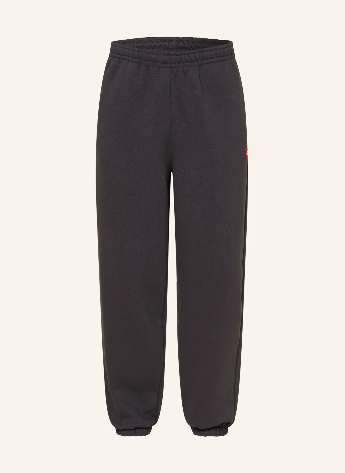 THE NORTH FACE Sweatpants REDBOX