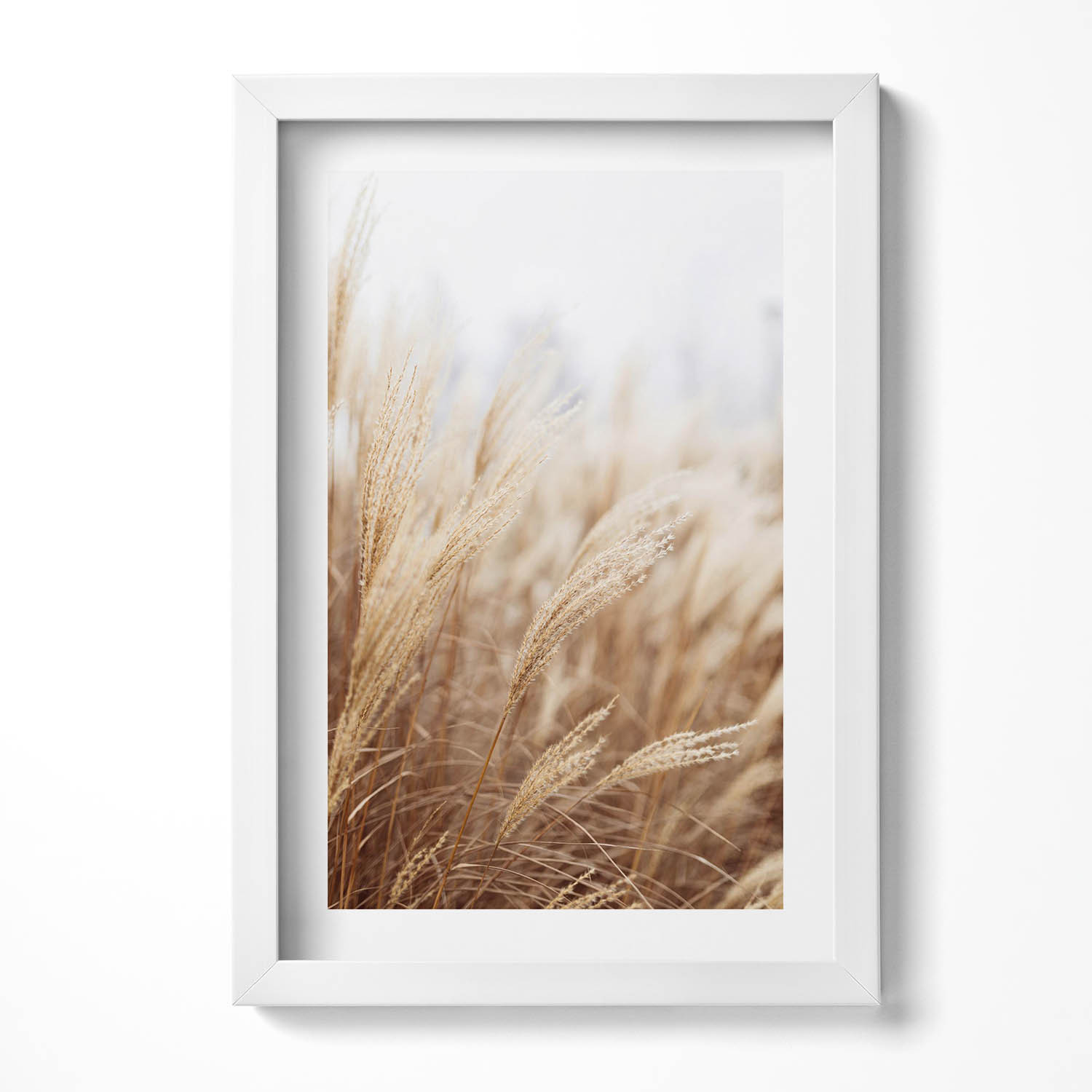 Obraz w ramie MDF "Boho trawy zboża" Biała rama, 20x30 cm