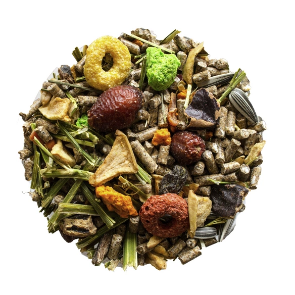 Chinchillafutter