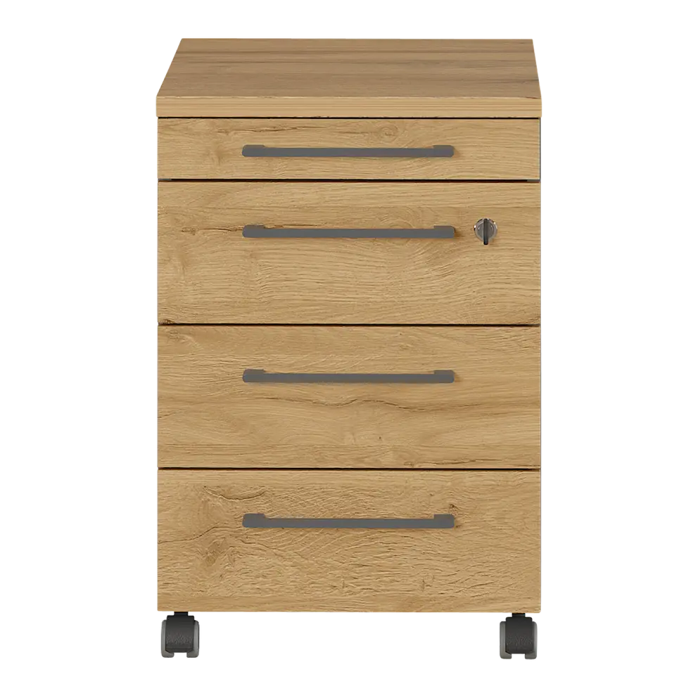 Rollcontainer Agenda