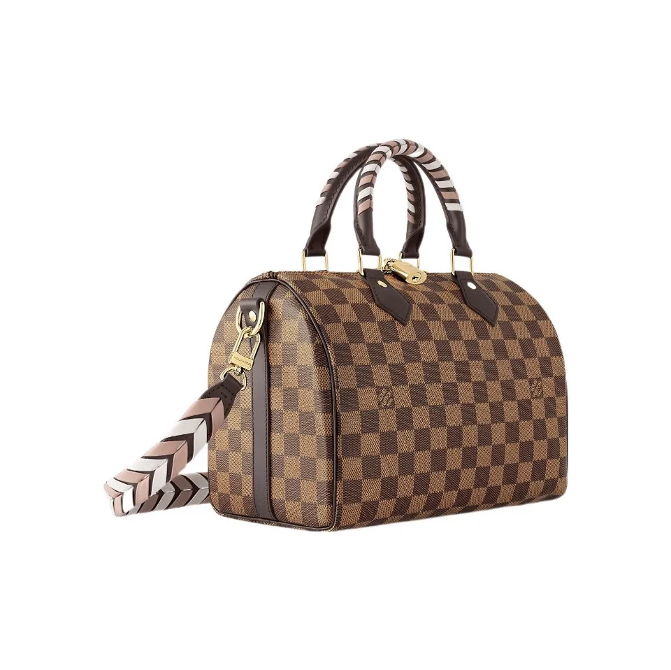 Louis Vuitton LV Speedy 25