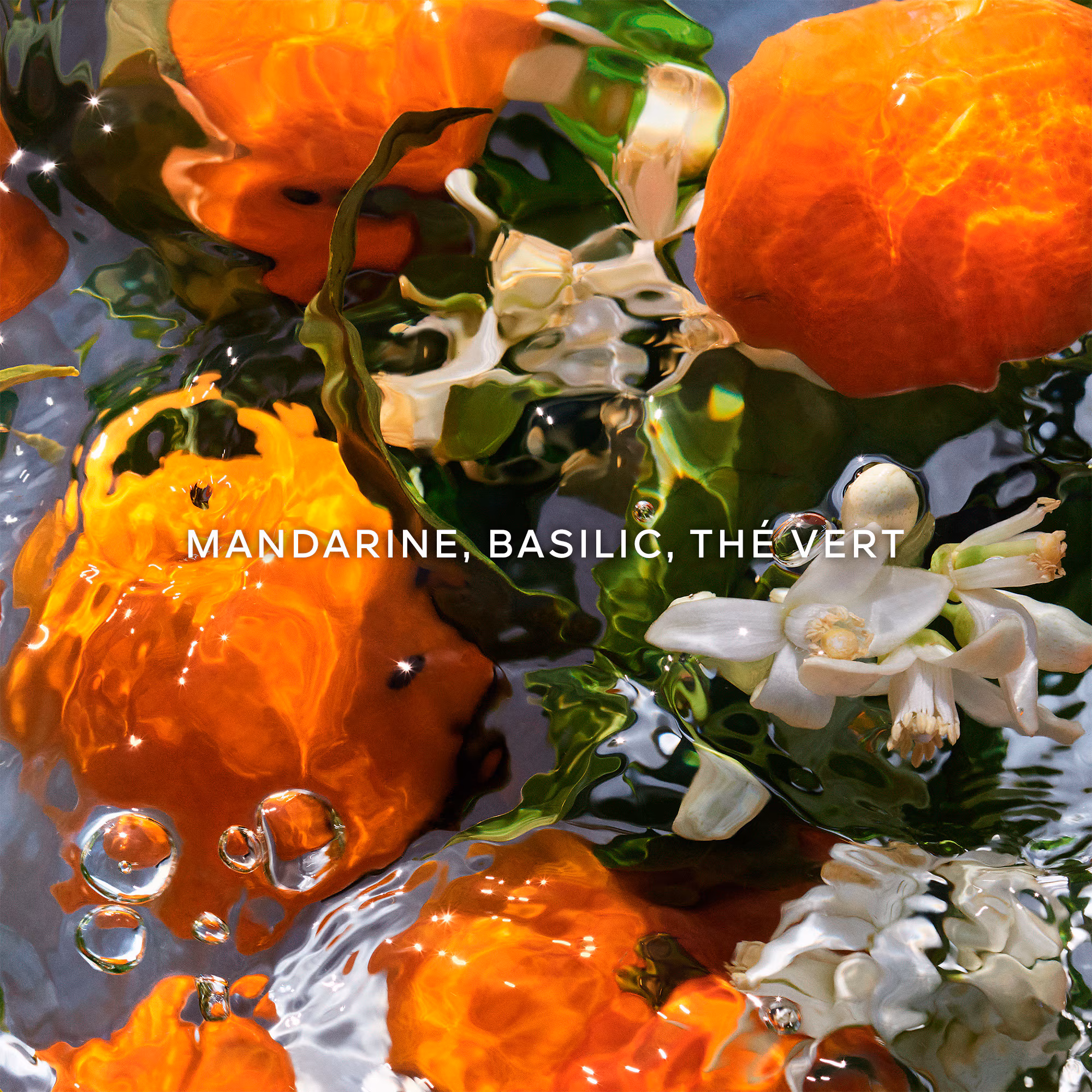 AQUA ALLEGORIAMandarine basilic - recharge