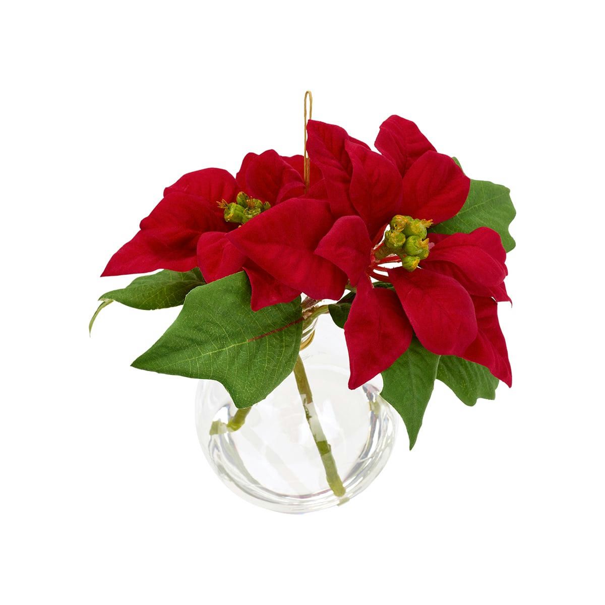 - Composition de poinsettias