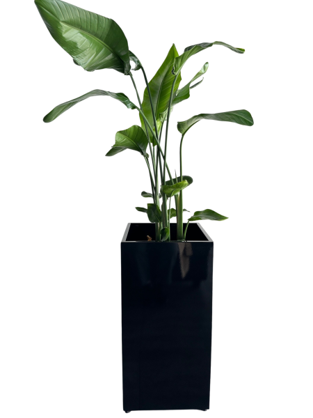 Kwadratowa Donica Metalowa ALGO 1
