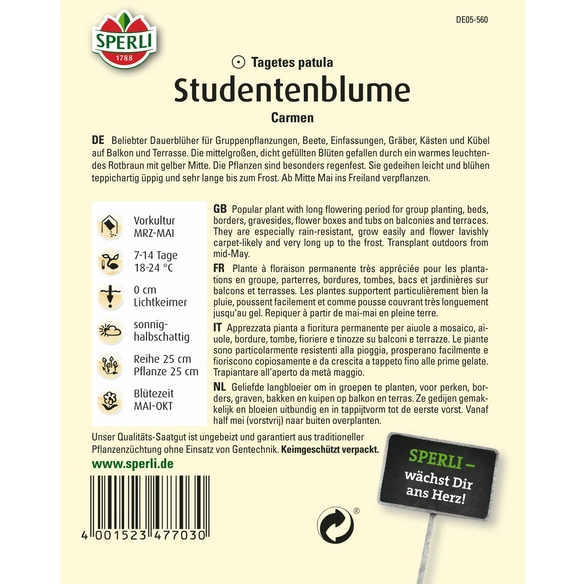 Studentenblume »Carmen«, einjährig, regenfester, ausdauernder Blüher, Höhe ca. 25 cm