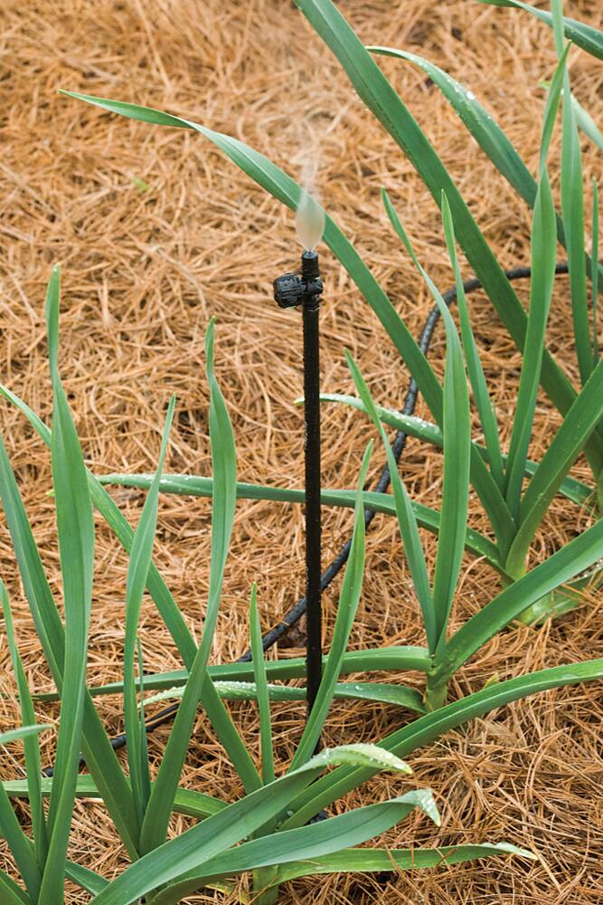Rain Bird Riser Stake, 1/4-in