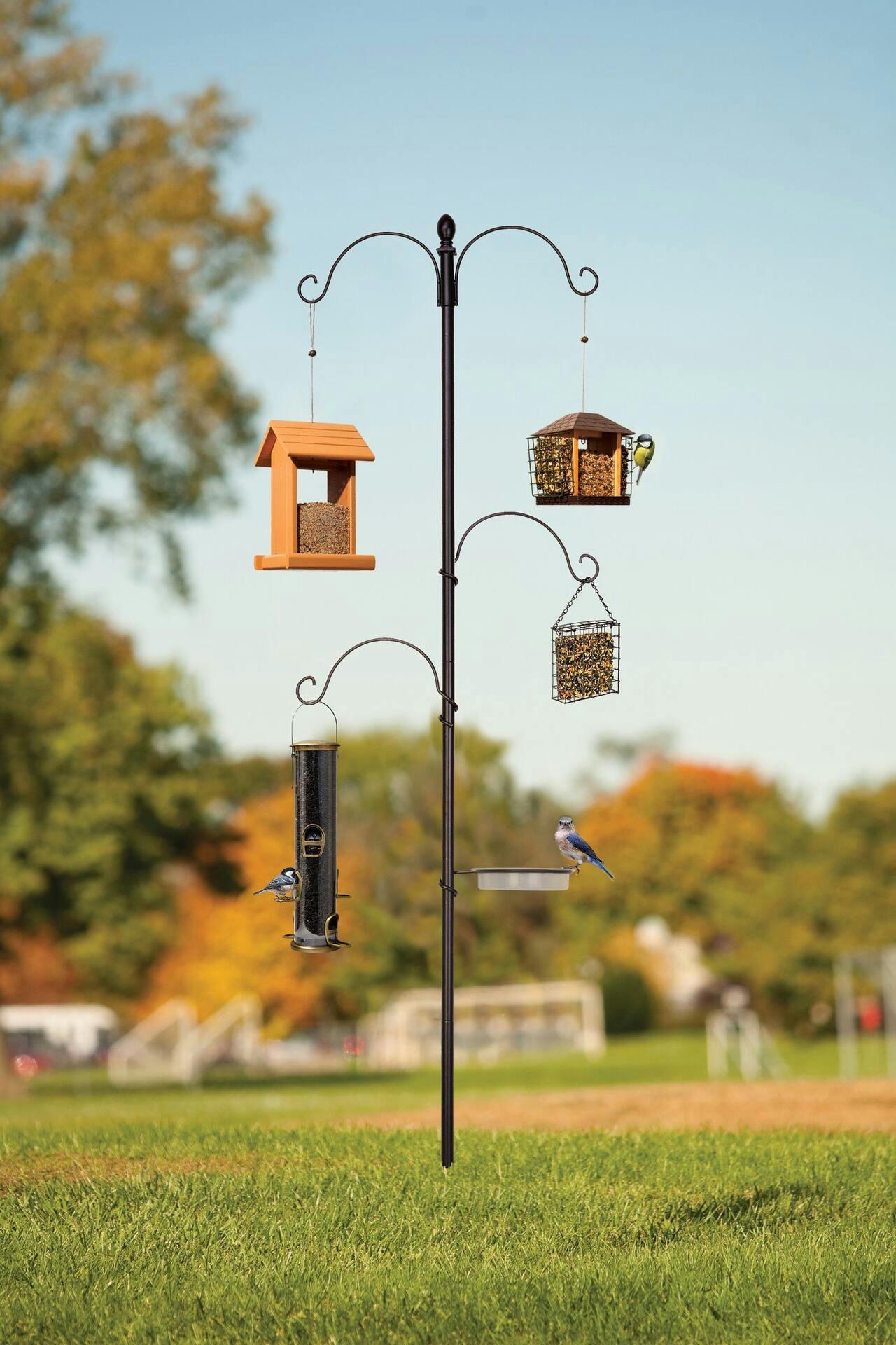 Bird Feeder Station with Pole