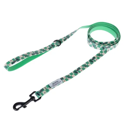 Harry Potter Slytherin Dog Lead