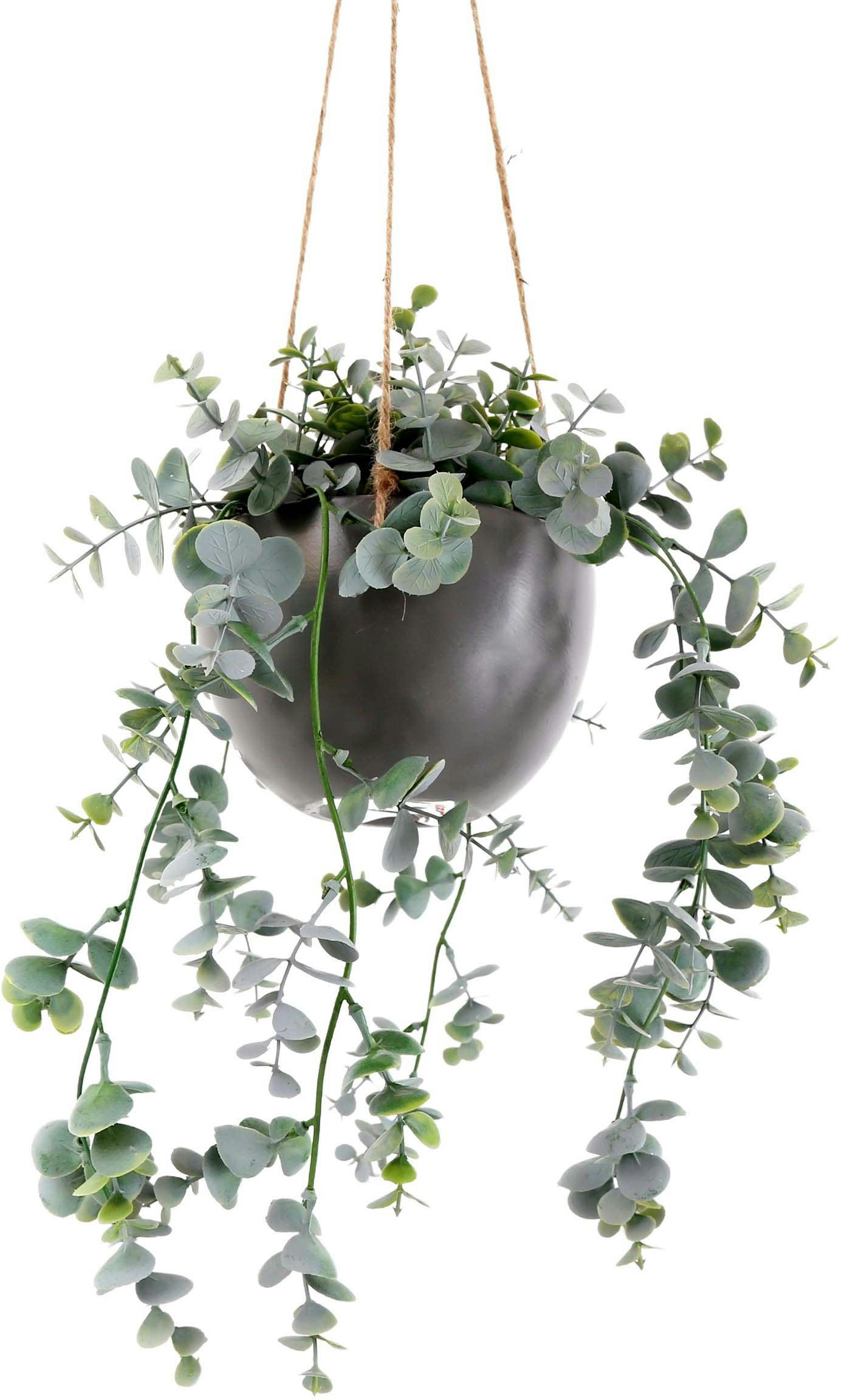 - Eucalyptus artificiel avec suspension en céramique