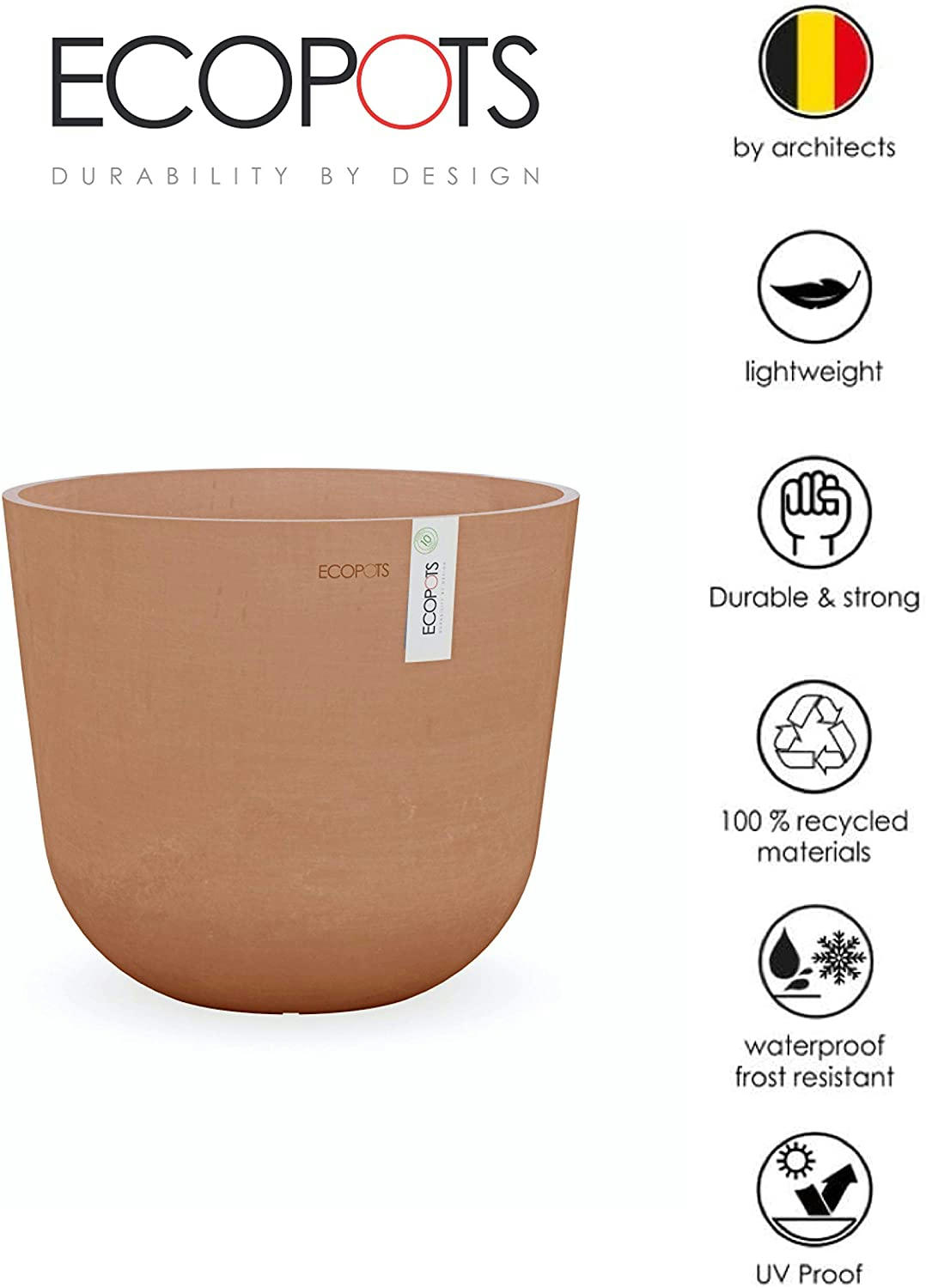 - Plante d'intérieur - Palmier Kentia de 90cm en pot Terra