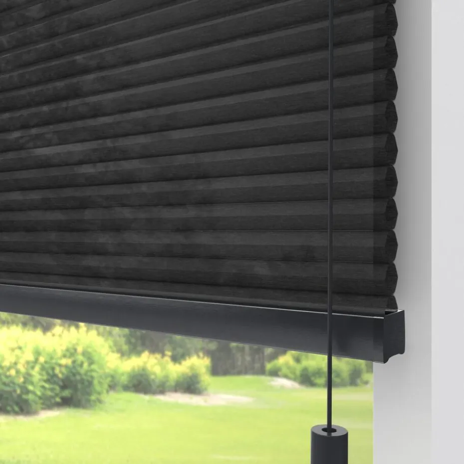 Kwantum Plisségordijnen | Fenstr Dubbel Plissé Jana  Lichtdoorlatend Zwart