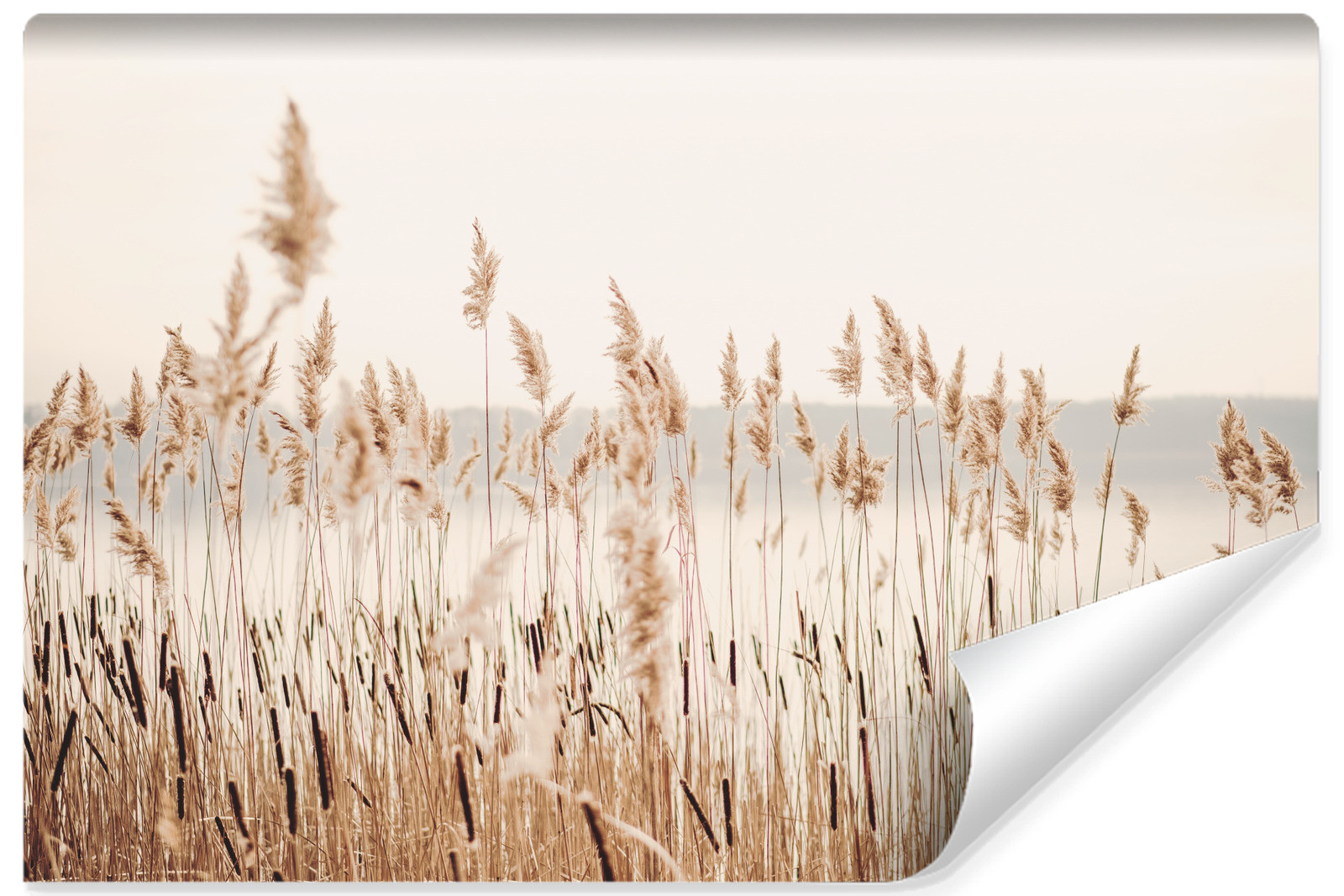 Fototapeta Do Jadalni Brzeg Jeziora Z Trawą 90x60cm