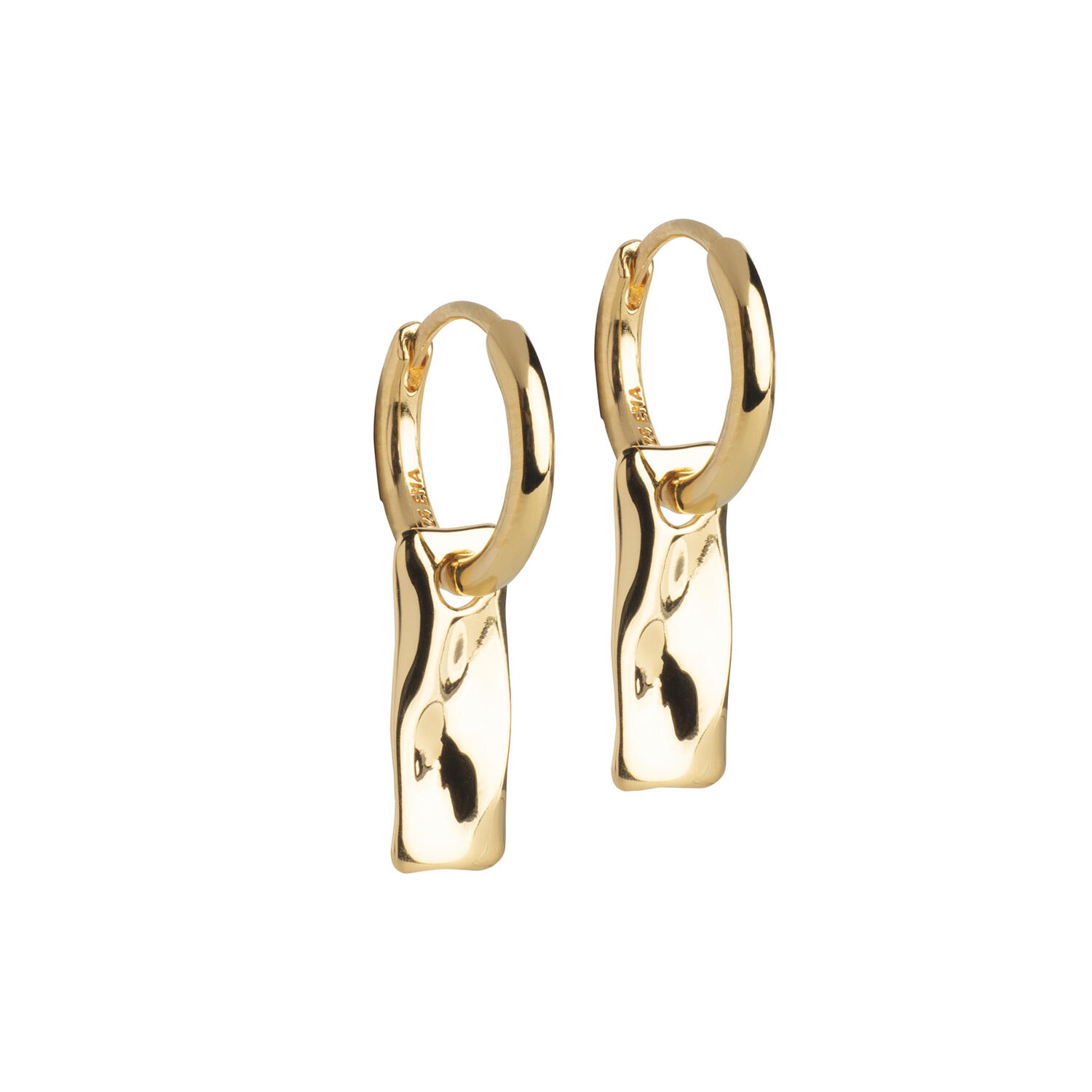 Tara Hoops