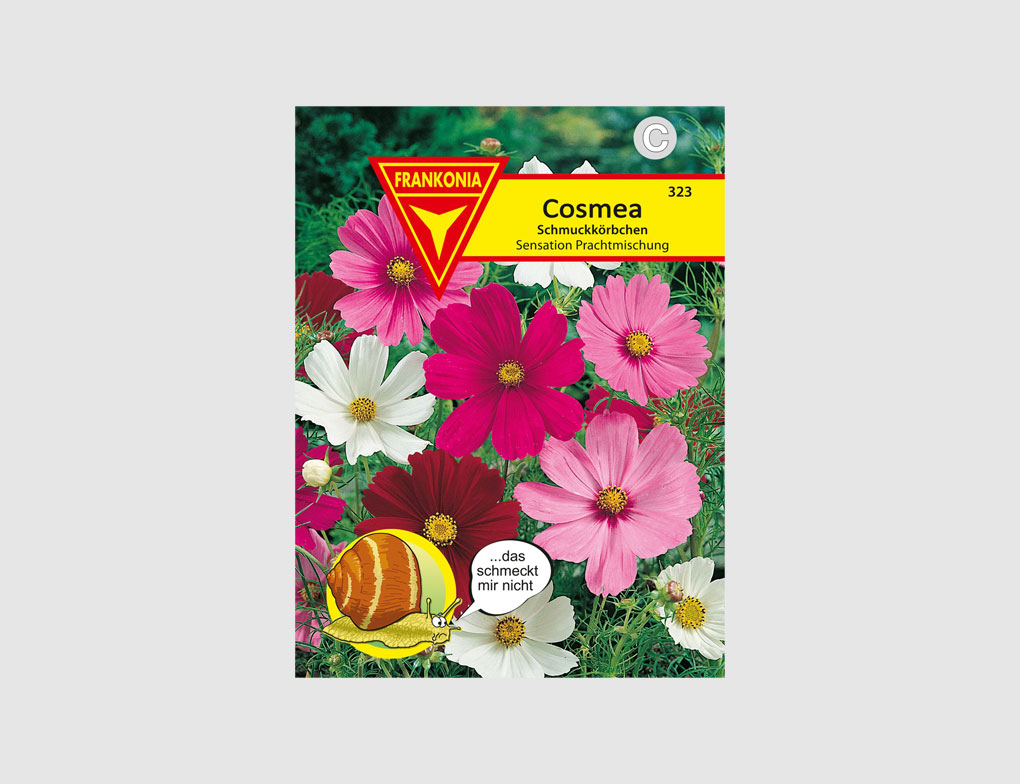 Cosmea Schmuckkörbchen