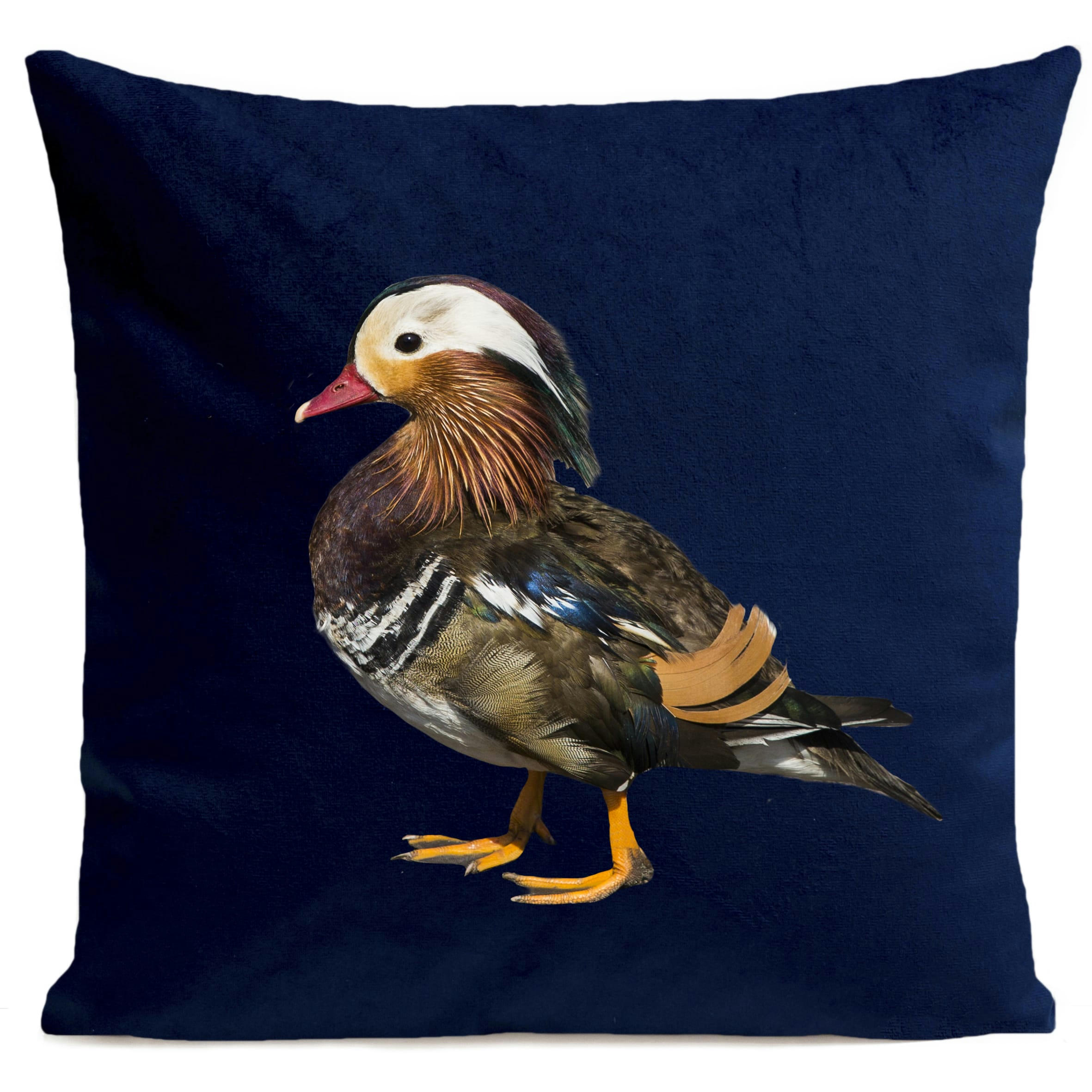 - Coussin campagne canard suédine bleu 40x40cm