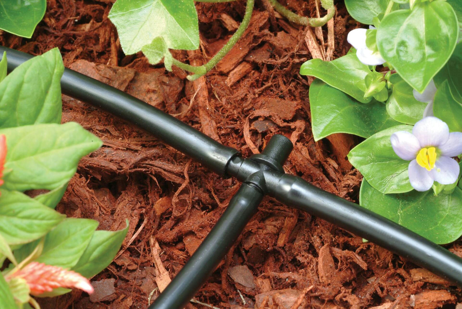 Rain Bird Barbed Tees, 1/4-in, 10-pk