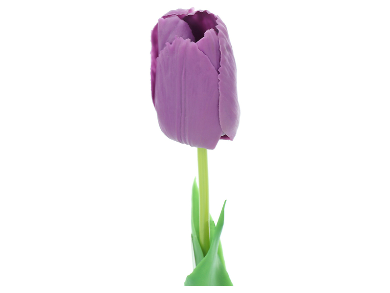 Tulipan pojedynczy 47 cm fioletowy