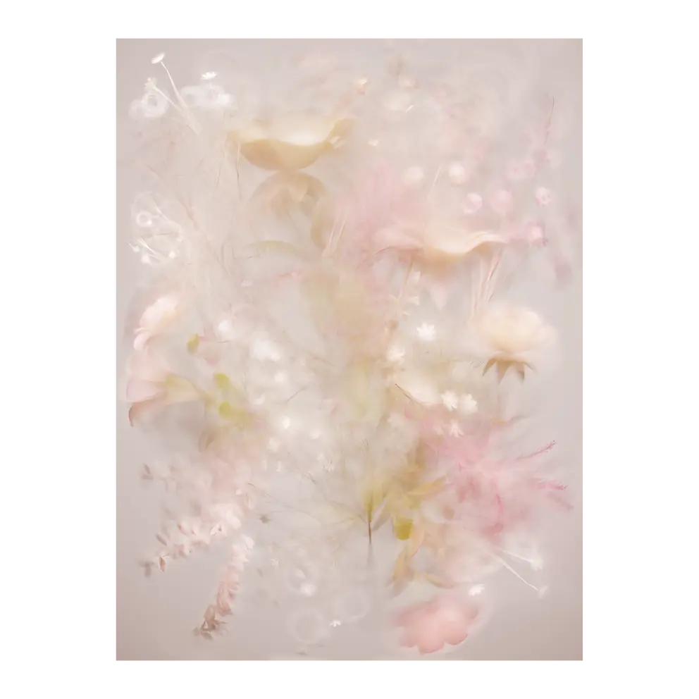 Kurzflorteppich Poetry Of Wind