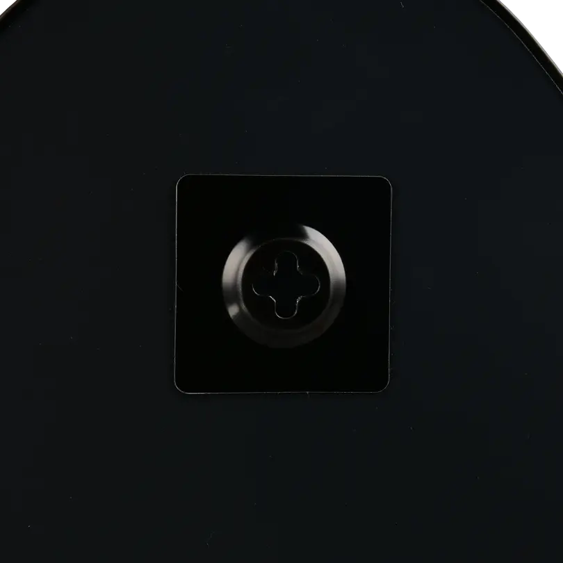 Spiegel Viola