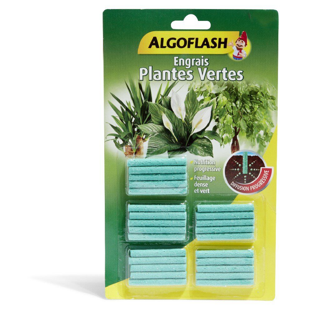 Bâtonnet engrais x25 plante verte