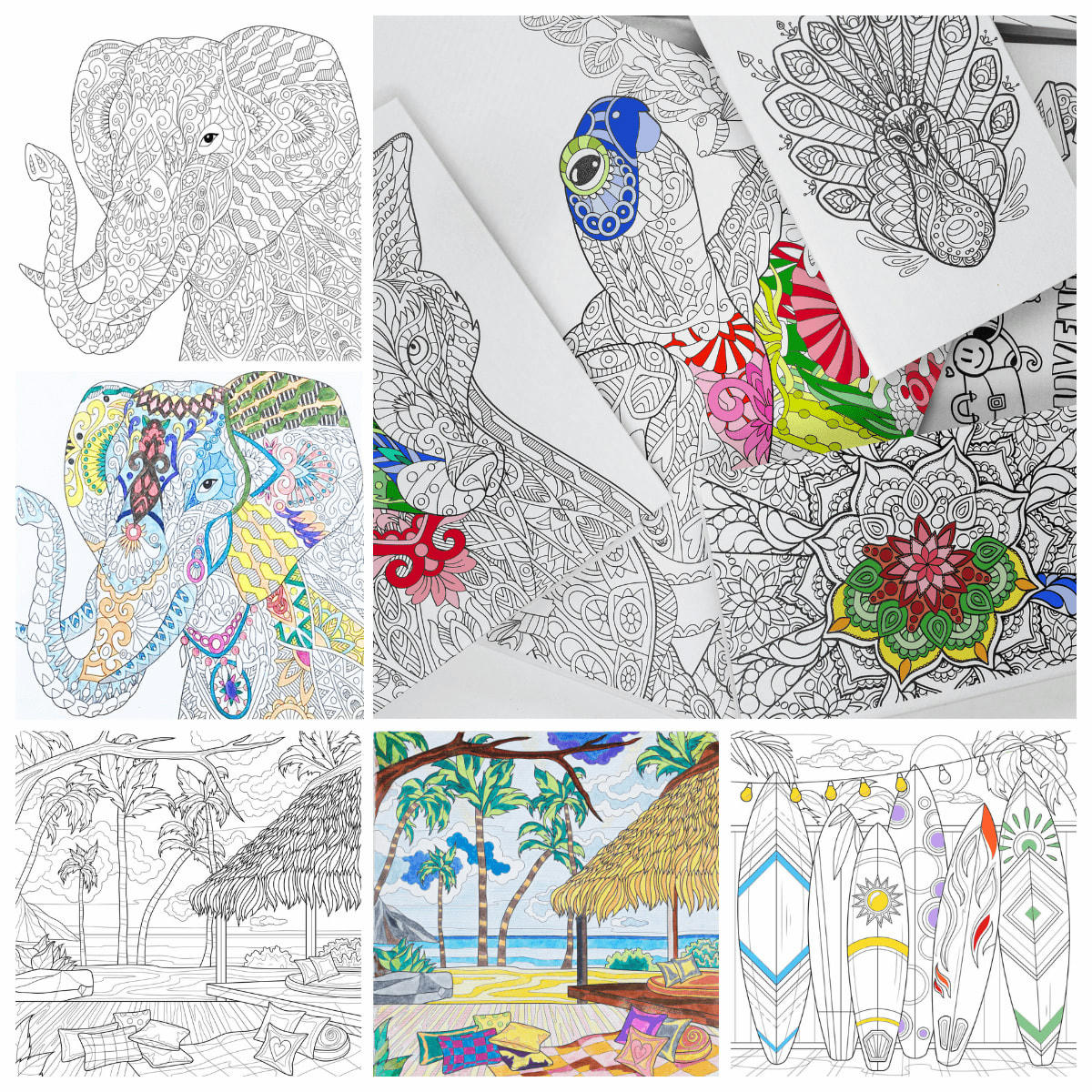 ILLUSTRATION - Tableau sur toile nature à colorier 30x30 cm