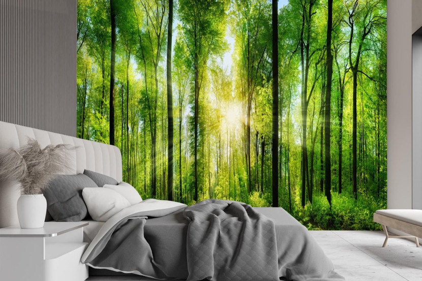 Feeby Fototapeta, Promienie słońca las natura 254x184