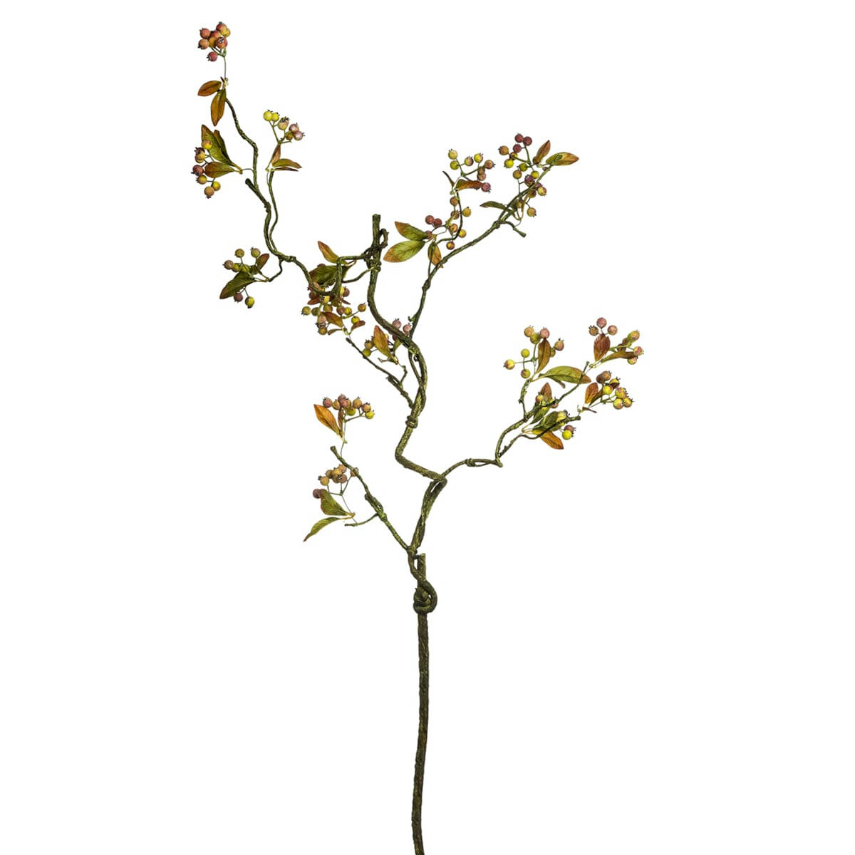 AUTOMNE - Branche de baies avec feuilles H134