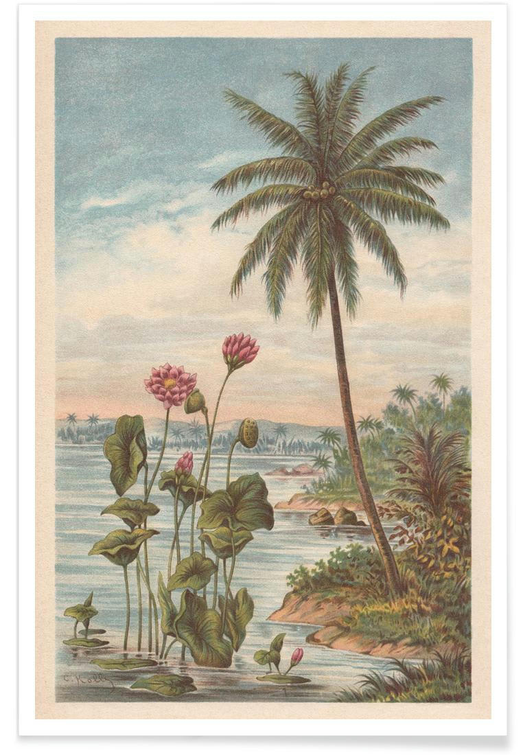 LOTUS FLOWERS - Affiche gris & marron