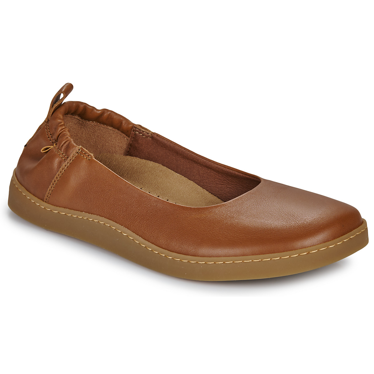 El Naturalista - ORIGEN - Brown