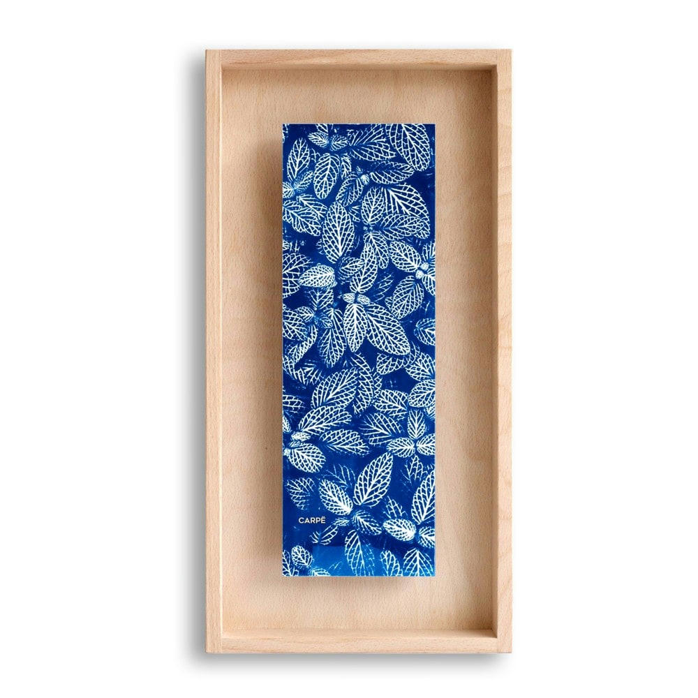 CARPË - Cadre en bois cyanotype fittonia 40x20cm