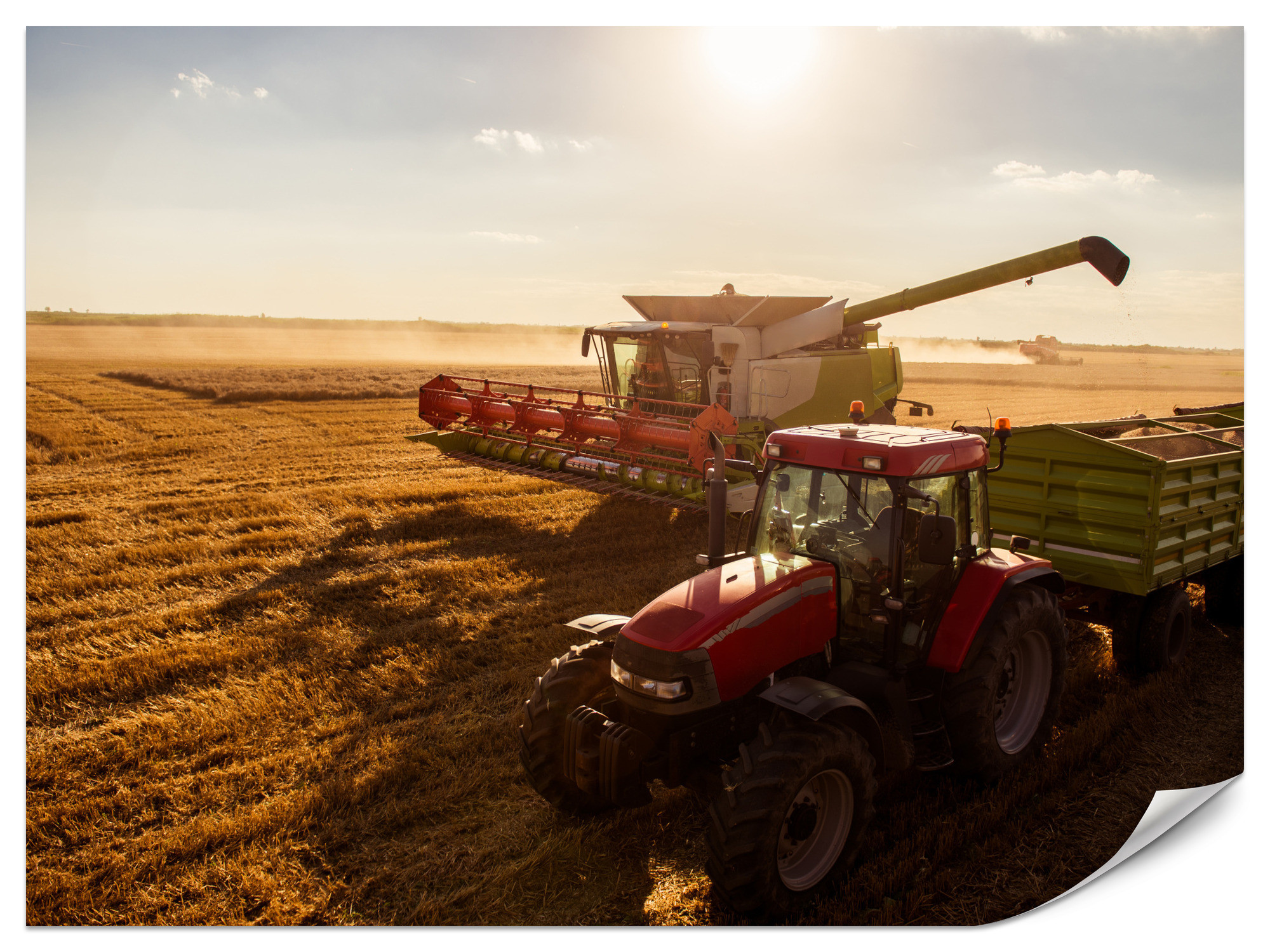 Fototapeta Traktor na polu 100x70cm