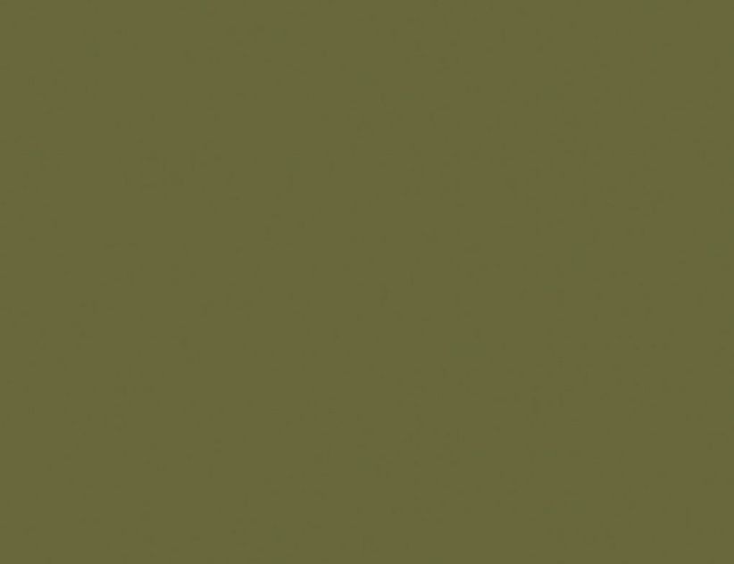 d-c-fix Klebefolie Uni Olive Seidenmatt