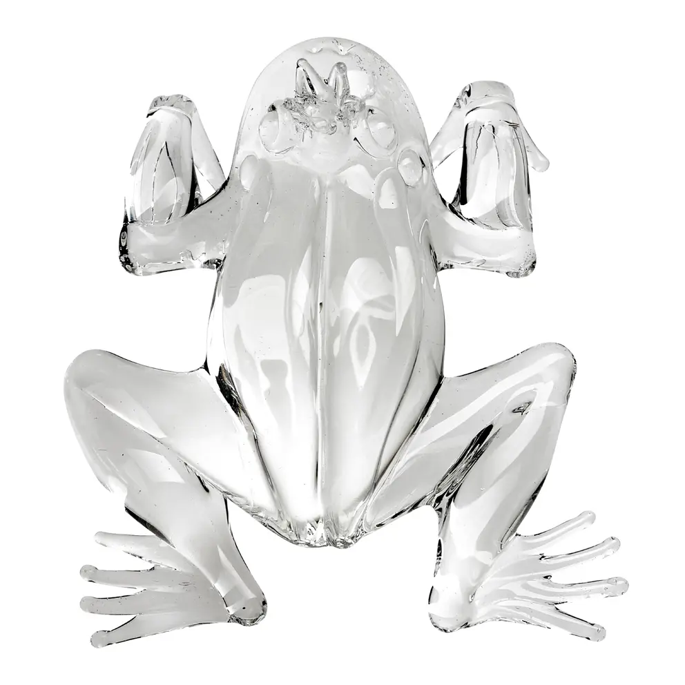 Tier Frog