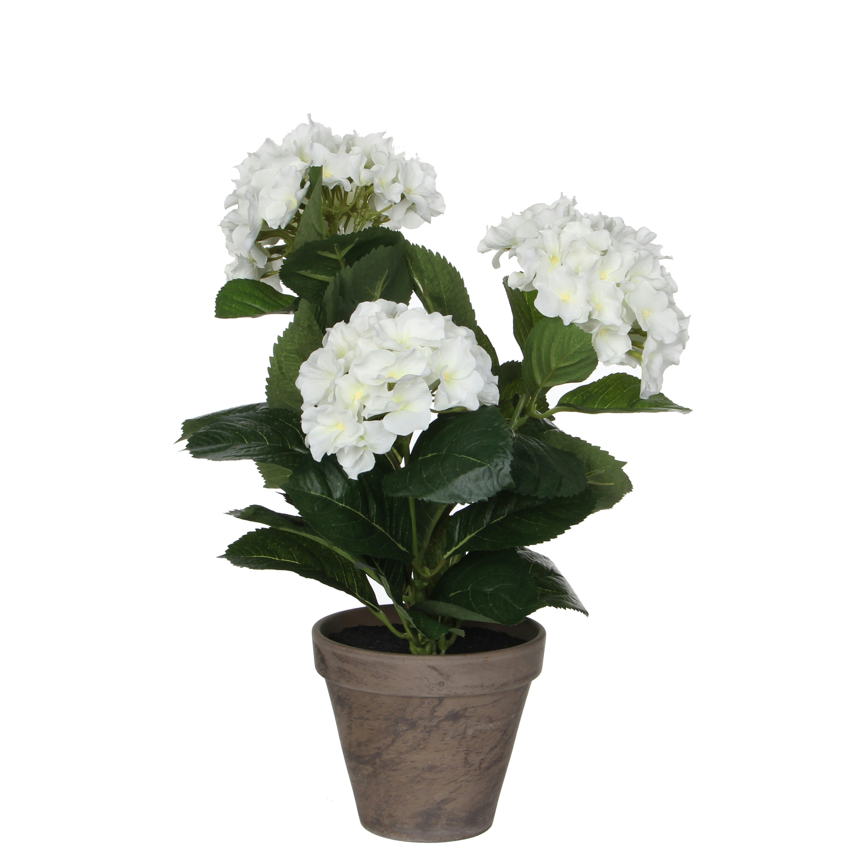 - Hortensia artificielle blanc en pot H40