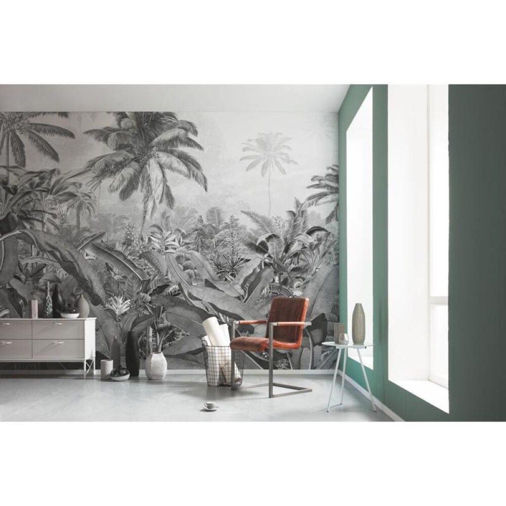 FOTOTAPET KOMAR AMAZONIA BLACK AND WHITE 400X250CM