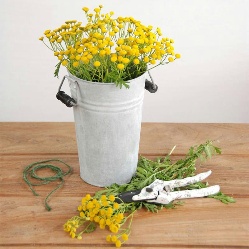 - Vase en zinc patiné de 21 cm