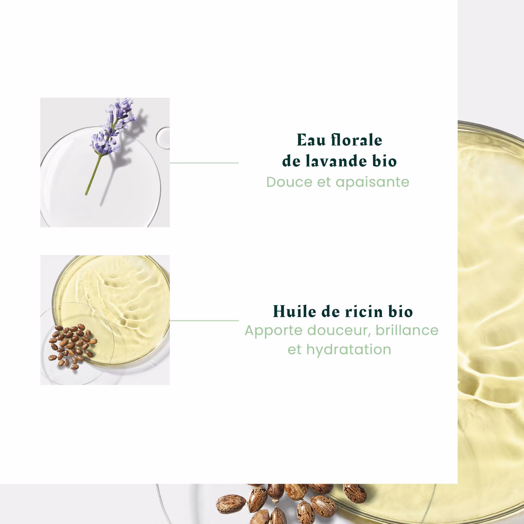 NATURIAShampooing micellaire douceur sans sulfates