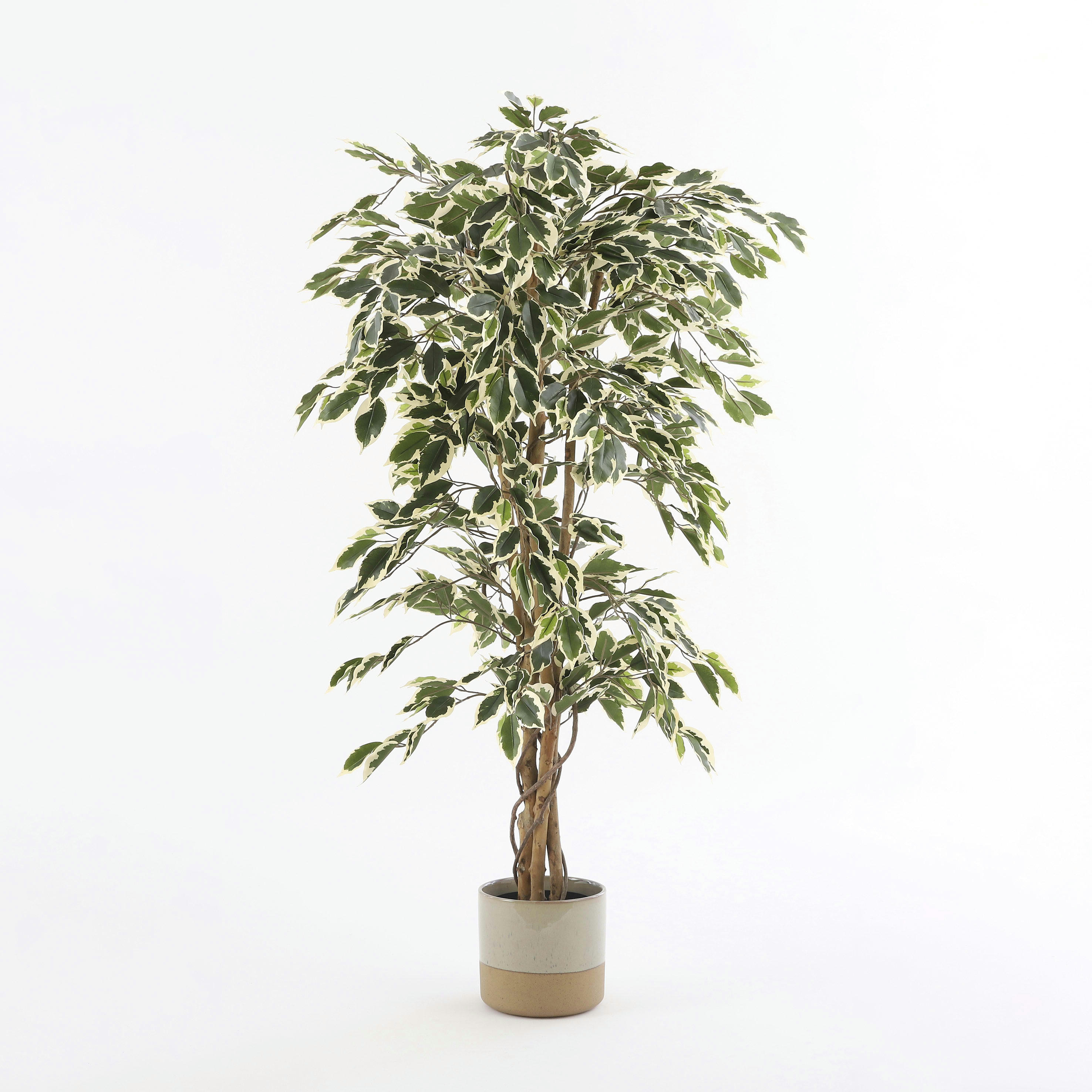 - Ficus artificielle vert panaché en pot H135