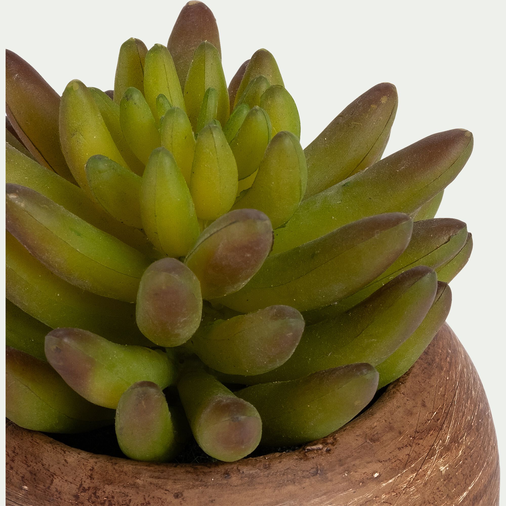 PEIROLO - Plante artificielle crassulacée H10cm