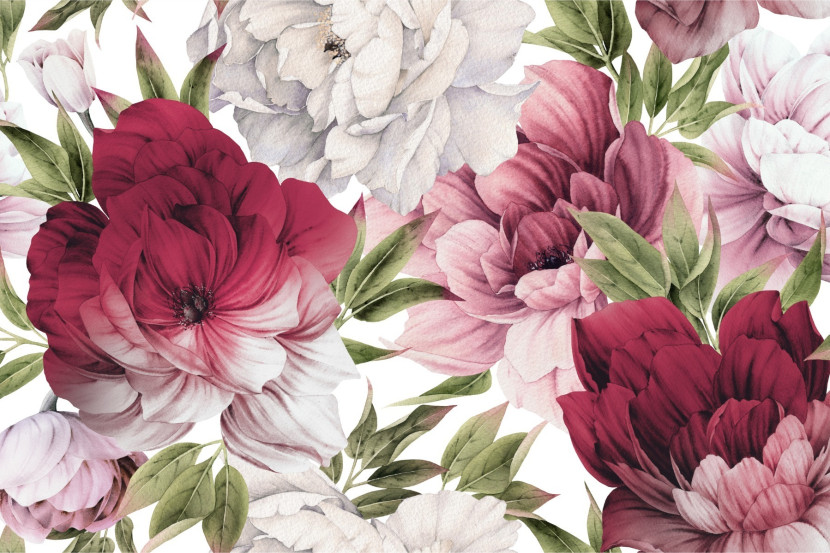 Fototapeta Delikatne Różowe PEONIE Kwiaty 90x60cm