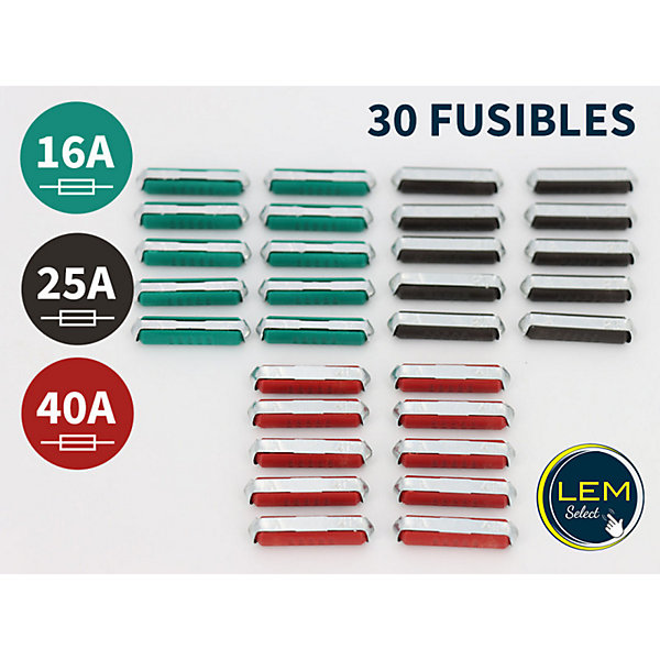 Lot de 30 Fusibles steatites Torpilles 16A 25A 40A