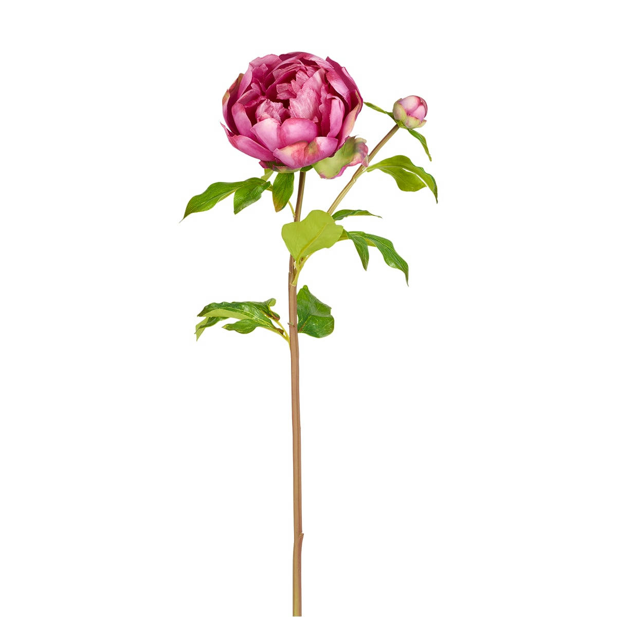 JOSIE - Pivoine artificielle Josie H55cm