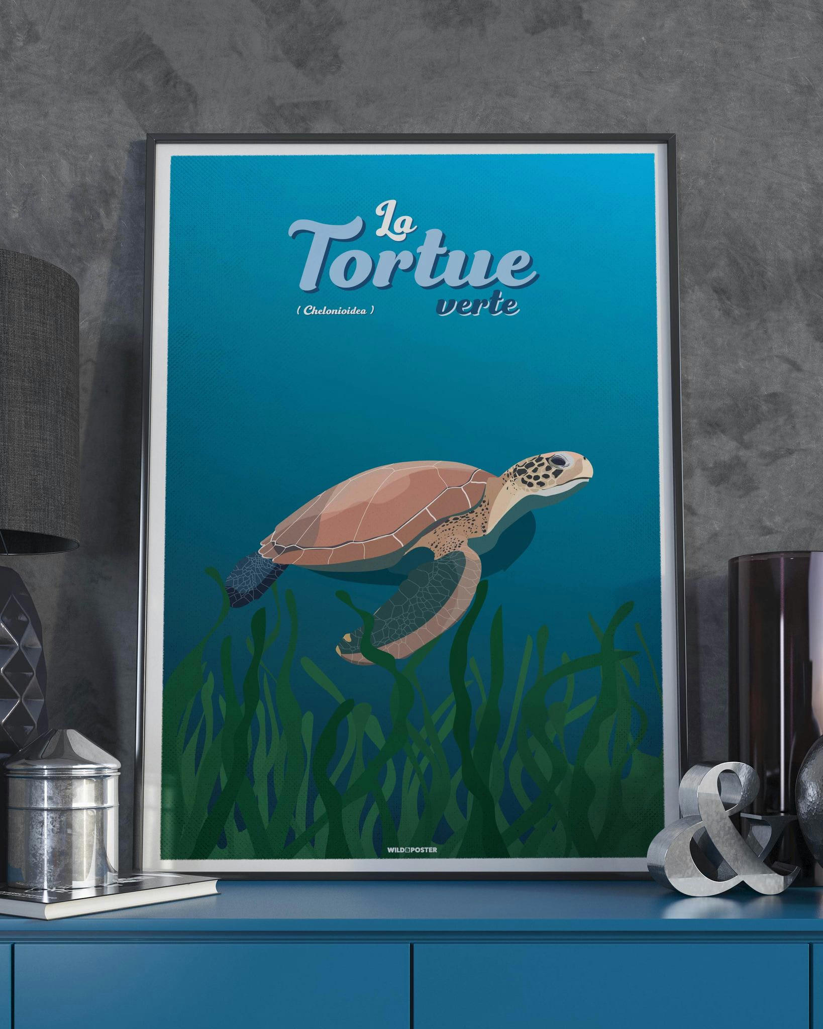 ANIMAUX - Affiche Animaux - La Tortue verte 30 x 40 cm