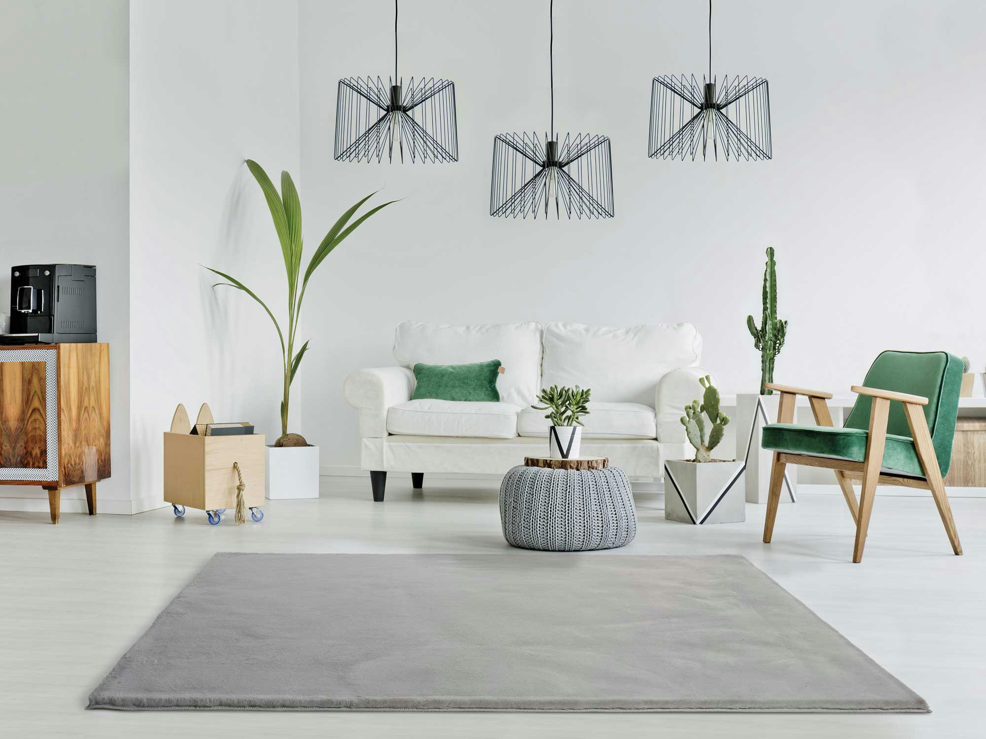 FOX - Tapis lavable extra doux en gris argenté, 160X230 cm